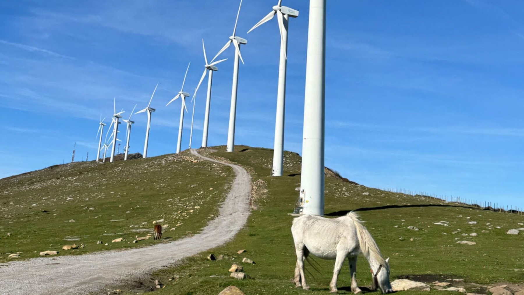 Euskadi duplicará su generación renovable con 80 millones en eólica y ...