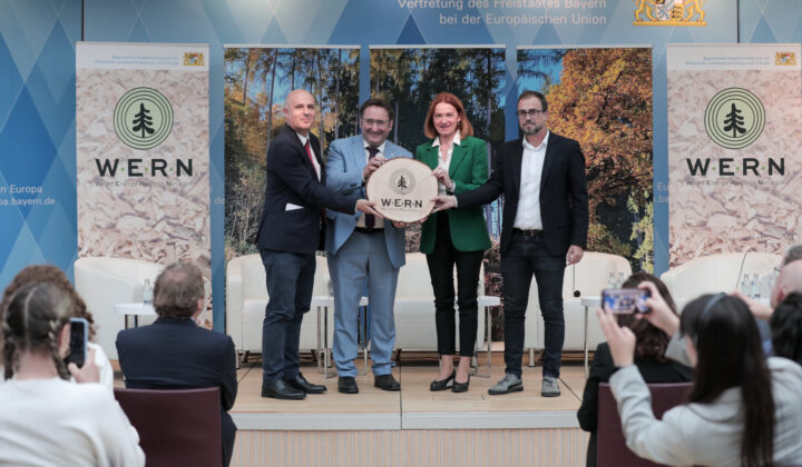 AVEBIOM impulsa una red europea para reforzar la bioenergía en la gestión forestal y la prevención de incendios